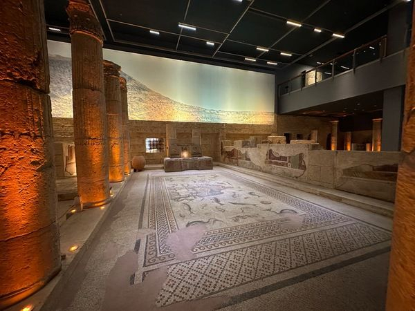 Gaziantep Zeugma Müzesi görenleri büyülüyor